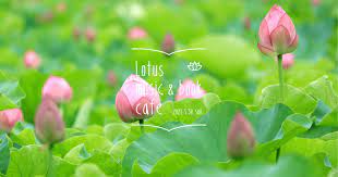 Lotus music & book cafe '21