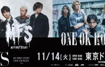レコード ONEOKROCK 4種セット レコード ONEOKROCK 4種セット ONE OK