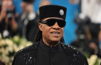 Stevie Wonder